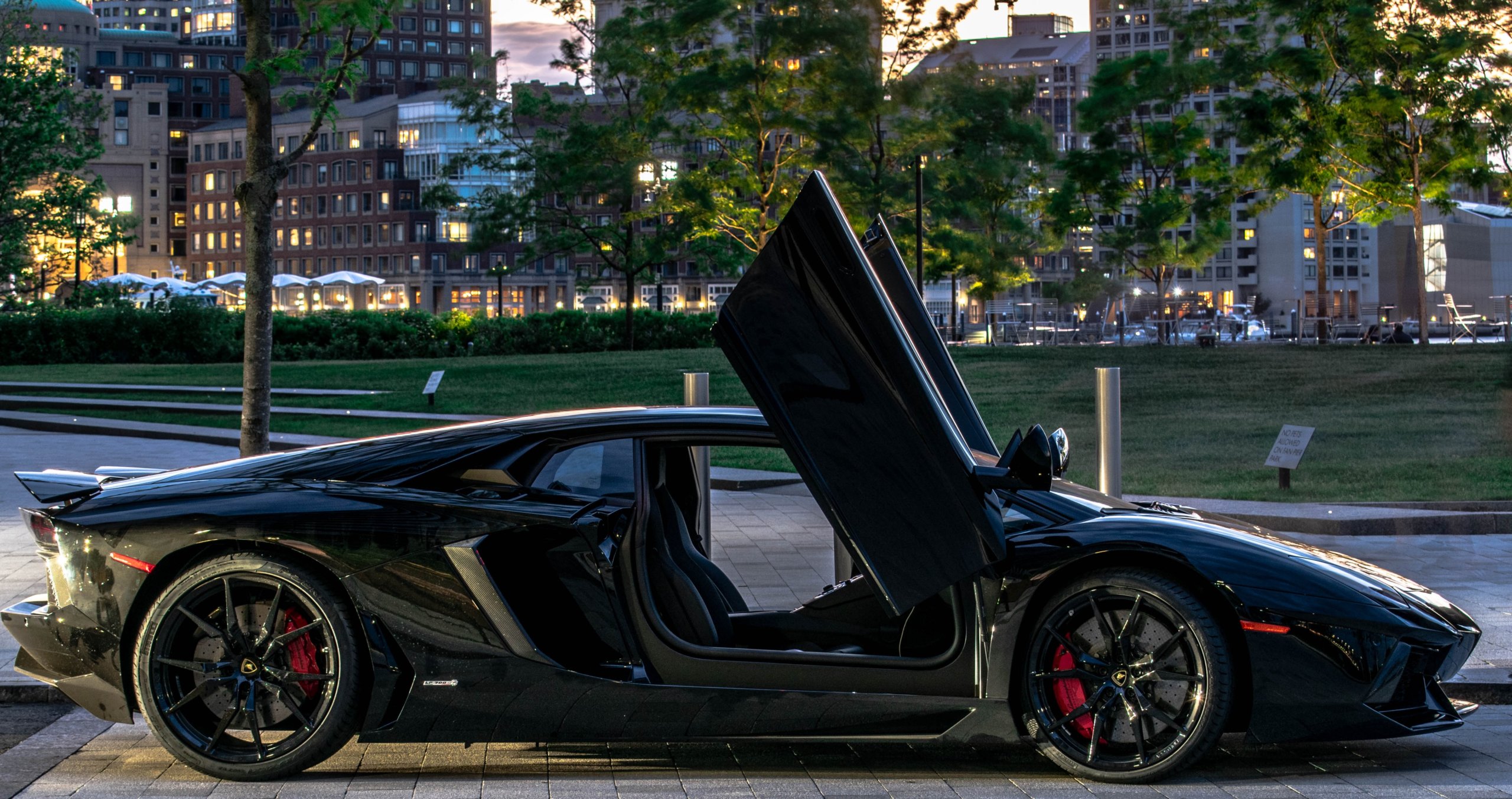 wing doors sports car