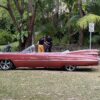 Barbalishious the 1959 Cadillac Deville. Cadillac Convertible Car Hire Port Douglas and Cairns