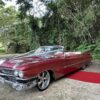 Barbalishious the 1959 Cadillac Deville. Cadillac Convertible Car Hire Port Douglas and Cairns