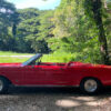 Molly 1966 Ford Gallaxie Convertible the Classic Convertible Car Hire Port Douglas and Cairns