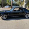 muscle car promotional hire Brisbane and Sunshine Coast